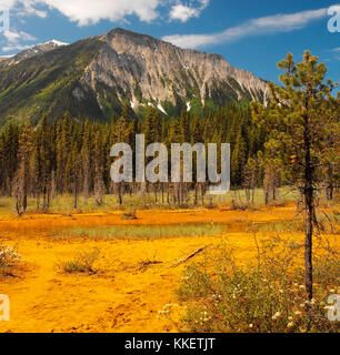 Il Paint Pots in Kootenay National Park in British Columbia in Canada occidentale. Il Paint Pots sono un gruppo di ferro freddo ricco di sorgenti minerali che bu Foto Stock