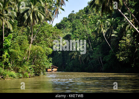 Filippine, Visayas isola, Loboc River Foto Stock