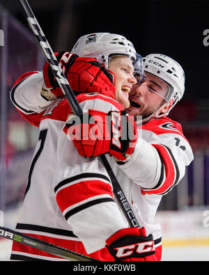 Charlotte F Foegele (17) durante l'AHL hockey gioco tra lo Springfield Thunderbirds e il Charlotte Checkers venerdì 1 dicembre 2017 a Bojangles Coliseum di Charlotte, NC. Giacobbe Kupferman/CSM Foto Stock