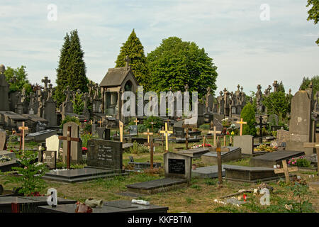 Antica pietra tomba monumenti in un prato sul campo santo cimitero di Gand, Fiandre, in Belgio Foto Stock