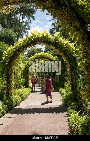 National Orchid giardini presso i Giardini Botanici di Singapore, una destinazione popolare per i turisti Foto Stock