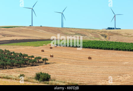 Bellissimo paesaggio della Sicilia campagna estiva in Italia. Foto Stock