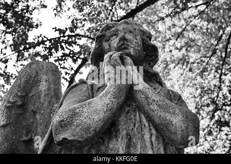 La faccia di un splendidamente scolpito angel parla di adorazione e di devozione. Foto Stock