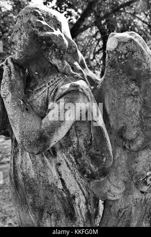 La faccia di un splendidamente scolpito angel parla di adorazione e di devozione. Foto Stock