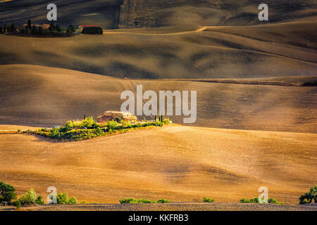 Incredibile bella vista del paesaggio della Toscana i campi a Barberino di Mugello in Italia la regione Toscana in estate Foto Stock