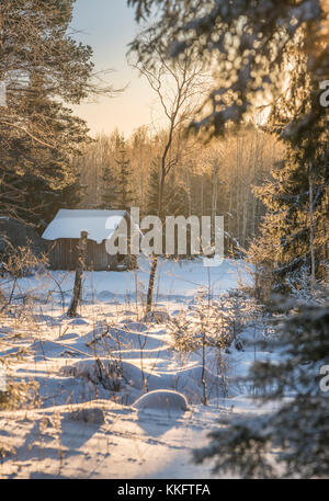 Il vecchio fienile in legno in corrispondenza del bordo della foresta in inverno. Roslagen, Uppland, Svezia e Scandinavia. Foto Stock