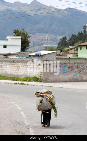 Ecuador campagna - una vecchia donna indigena trasporta un carico pesante a camminare sulla strada, northern Ecuador, Sud America Foto Stock