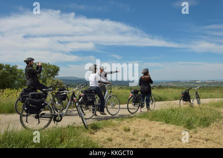 Gita in bicicletta intorno i vigneti del dipartimento Vancluse, Provenza, Francia Foto Stock