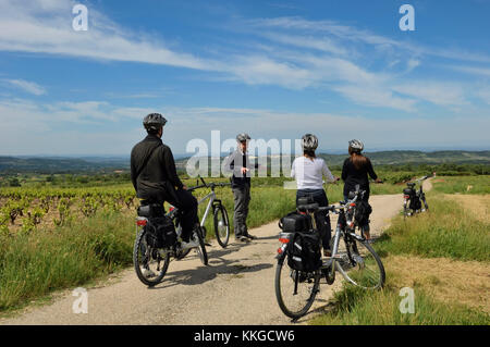 Gita in bicicletta intorno i vigneti del dipartimento Vancluse, Provenza, Francia Foto Stock