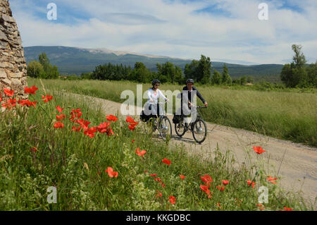 Gita in bicicletta intorno al reparto Vancluse, Provenza, Francia Foto Stock