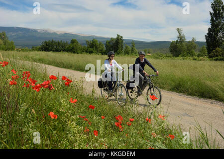 Gita in bicicletta intorno al reparto Vancluse, Provenza, Francia Foto Stock