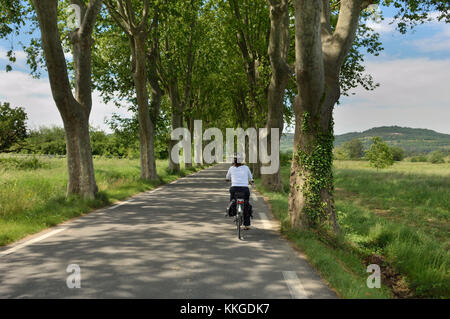 Gita in bicicletta intorno al reparto Vancluse, Provenza, Francia Foto Stock