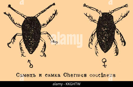 Un estratto dal Brockhaus and Efron Enciclopedic Dictionary, volume 73, pagine 159-24, che descrive un argomento specifico. Foto Stock