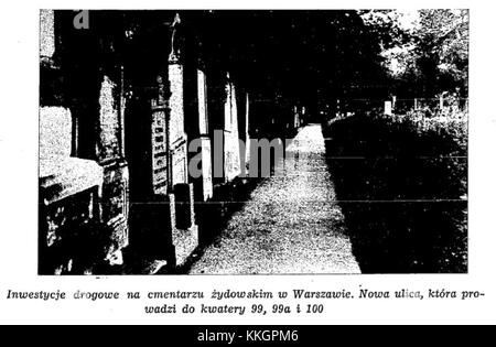 Questa immagine raffigura i lavori di ristrutturazione del cimitero ebraico di Wola, Varsavia, Polonia. Il progetto di restauro è uno sforzo significativo per preservare questo sito storico come parte del patrimonio ebraico nella regione. Foto Stock