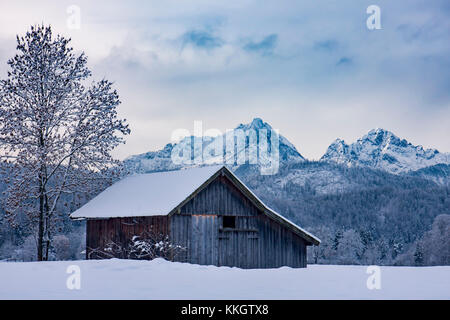 Gli agricoltori solitaria capanna nella neve, Baviera, Germania Foto Stock