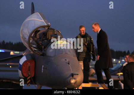 Vantaa, Finlandia. Il 30 novembre 2017. Il principe William familiarizzare con un falco trainer fighter. Heini Kettunen/Alamy Live News Foto Stock