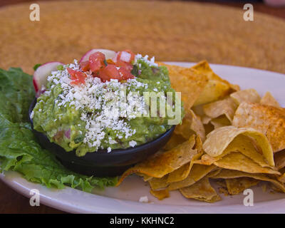 Guacamole e nachos sono piatti messicani popolari, spesso serviti come antipasti o spuntini. Il guacamole è composto da purè di avocado, mentre i nachos consistono in tortilla patatine ricoperte di formaggio fuso, solitamente servite insieme. Foto Stock
