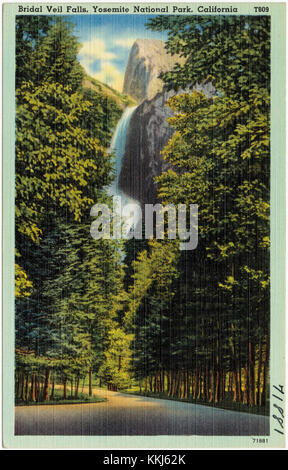 Bridal Veil Falls, Yosemite National Park, California (71881) Foto Stock