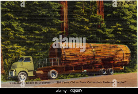 Straughan's Redwood Loghouse -- 1900 anni -- dal California Redwood Empire (79843) Foto Stock