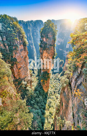 Quarzo naturale pilastro di pietra arenaria l'avatar hallelujah mountain è 1.080 metri (3,540 ft) situato nel zhangjiajie National Forest park, nel wulin Foto Stock