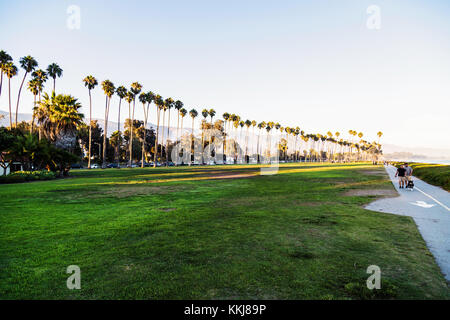 Lungomare con palme in righe al tramonto, Santa Barbara, California, Stati Uniti d'America Foto Stock