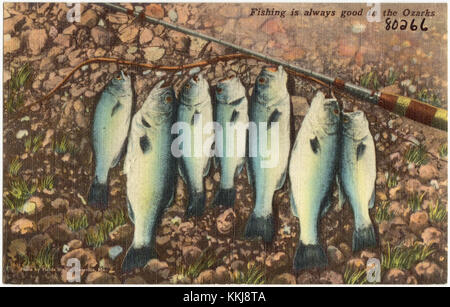 La pesca è sempre buona negli Ozarks (80266) Foto Stock