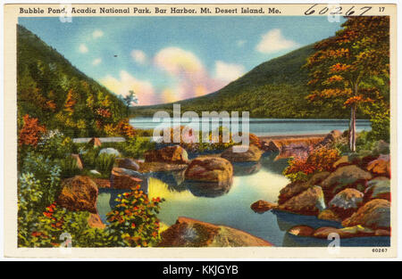 Il Bubble Pond, situato all'interno dell'Acadia National Park nel Maine, è uno specchio d'acqua panoramico sull'isola di Mount Desert, conosciuta per la sua bellezza naturale e le opportunità ricreative come escursioni e kayak. Foto Stock