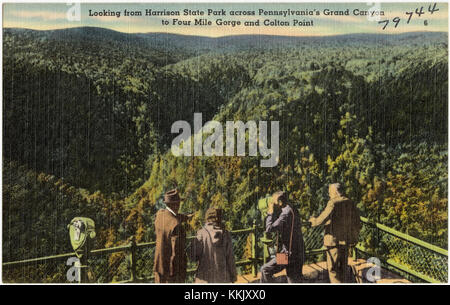 Guardando dall'Harrison state Park attraverso il Grand Canyon della Pennsylvania Four Mile Gorge e Colton Point (79744) Foto Stock