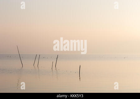 Un molto minimalista vista di un lago all'alba, con luce tenue e di toni, reti da pesca e pali in primo piano Foto Stock