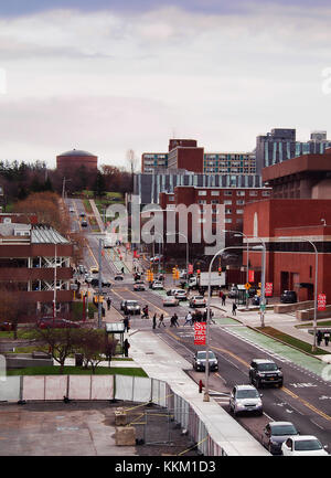 Syracuse, New York, Stati Uniti d'America. Novembre 30, 2017. È possibile visualizzare fino a Waverly Avenue sulla la Syracuse University Hill in Syracuse, New York Foto Stock