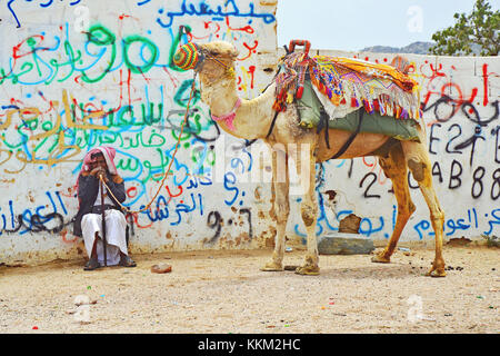 Pastore e cammelli per gite turistiche in Taif, Arabia Saudita. Foto Stock