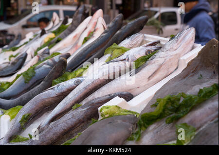 Merluzzi, Mediterranea di pesce al mercato di napoli, Italia Foto Stock