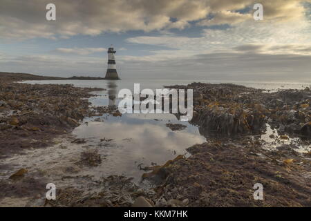 Trwyn Du faro, Penmon, con la bassa marea, alba a nord-est di Anglesey. Foto Stock