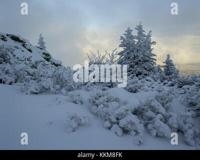 Inverno a Großer Arber, Foresta Bavarese, in Baviera, Germania, Foto Stock