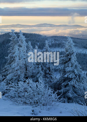 Großer Arber in inverno, Foresta Bavarese, in Baviera, Germania, Foto Stock