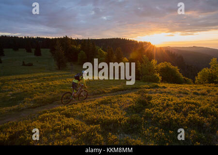 Mountain Biker al herzogenhorn nel tramonto, foresta nera, BADEN-WUERTTEMBERG, Germania Foto Stock