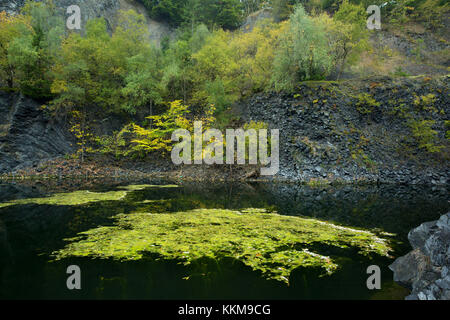 Riserva naturale Tintenfass a Farnsberg, bassa Franconia, Baviera, Germania Foto Stock