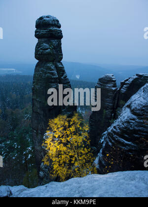 Barbarine alla luce del mattino, Svizzera sassone, Elba Sandstone Mountains, Germania, Foto Stock