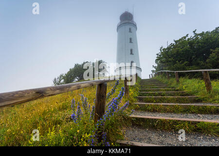 Costa Baltica, faro sull'isola hiddensee, percorso, scale Foto Stock