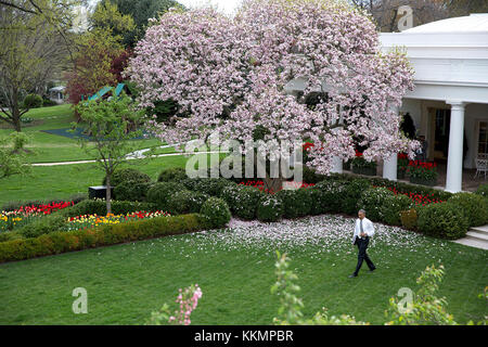 Il presidente Barack Obama passeggiate attraverso il giardino delle rose della casa bianca sul suo modo di firmare il disegno di legge h.r. 2 accesso medicare e chip riautorizzazione Act del 2015, 16 aprile 2015. (Gazzetta white house foto da Lawrence jackson) Questo ufficiale della casa bianca fotografia viene reso disponibile solo per la pubblicazione da parte di organizzazioni di notizie e/o per uso personale la stampa dal soggetto(s) della fotografia. la fotografia non possono essere manipolati in alcun modo e non può essere utilizzata in ambienti commerciali o materiali politici, pubblicità, e-mail, prodotti promozioni che in qualsiasi modo suggerisce di approvazione o endorsem Foto Stock