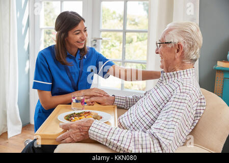 Un infermiere che serve la cena a un senior uomo in poltrona a casa Foto Stock