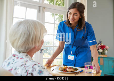 Cura l'infermiera che serve la cena a un senior donna a casa Foto Stock