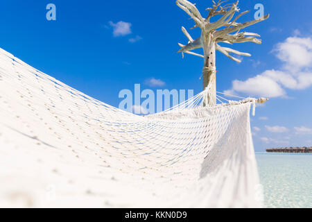 Amaca attesa da albero bianco in un profondo e limpido mare. Foto Stock