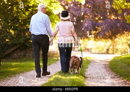 Vista posteriore della coppia Senior a piedi Bulldog di Pet In campagna Foto Stock