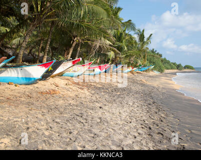 Dai colori vivaci canoe pesca sotto palme di cocco di spiaggia sabbiosa tropicale, Mirissa, Sri Lanka Foto Stock