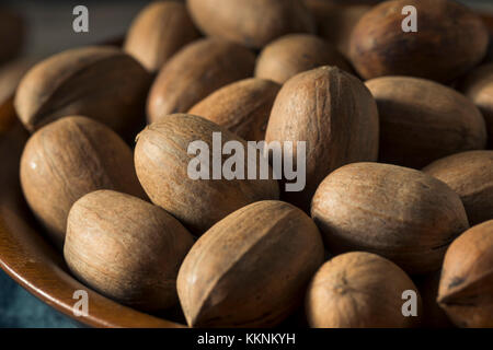 Materie organiche marroni Noci pecan sgusciate pronto per il crack Foto Stock