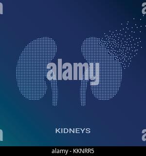 Abstract illustrazione vettoriale di reni umani su sfondo blu. pixel art logo di nefrologia e urologia. logotipo vettoriale illustrazione. creativi concetto medico Illustrazione Vettoriale