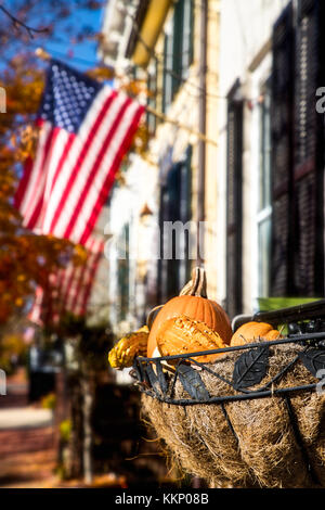 Un cestello tradizionale di ringraziamento zucche in Alexandria, Virginia. Foto Stock