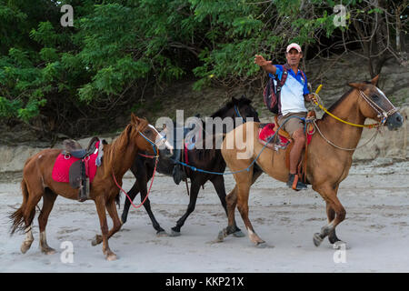 Playa Conchal, Costa Rica - 18 novembre: guida turistica che offre passeggiate a cavallo sulla spiaggia. Novembre 18 2017, Playa Conchal Costa Rica. Foto Stock