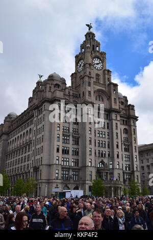 Royal Liver Building Liverpool Regno Unito Foto Stock